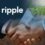 Crypto Exchange eToro Explores Partnership With Ripple