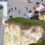 Man holds boy dangerously close to edge of 400ft Seven Sisters cliffs as tourists defy warning signs on Easter Bank Holiday weekend