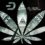 Alt Thirty Six Raises $10 M For Dash- Powered Cannabis Industry