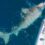 Man lands ‘truly special,’ record-breaking tiger shark while fishing off the coast of Florida