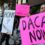 Supreme Court in waiting game on Trump administration bid to end DACA protection for immigrants