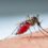 Malaria outbreak: Drug-Resistant parasites spreading across Asia – warning