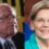 Bernie Sanders seemingly lost for words when asked to say 'one thing' he admires about 'friend' Elizabeth Warren