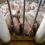 Locked out of China, U.S. pork producers sniff out new buyers