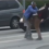 ‘They both went into the fight stance’: B.C. road rage brawl caught on camera