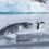 Incredible snap from Wildlife Photographer of the Year awards shows penguin fleeing from leopard seal as it bursts out of the water – The Sun