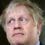 Pro-EU groups call for Lib Dems to step back and help boot out Boris Johnson
