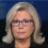 Liz Cheney: Dems have 'abdicated their duty to the Constitution' and will pay a price with voters