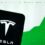 Tesla Stock Could Be One of the Biggest Bubbles in History After Bitcoin