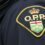 Three boys charged with assault following reported family dispute in Alliston, Ont.