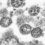Developing coronavirus treatments ‘extremely important,’ experts say
