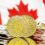 Canada’s First Public Bitcoin Fund Reaches Big Milestone, Surpasses…