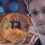 Edward Snowden Gives Bitcoin A Shout-Out – Anthony Pompliano Wants Him On His Podcast