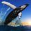 Whales Move $1.6B In Bitcoin Ahead Of Nearly 20% Selloff
