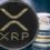 XRP's $0.50 Support Continues to Hold Ahead of Ripple/SEC Pre-trial
