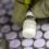 Pfizer asks FDA to approve storing Covid vaccine doses at higher temperatures