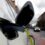 EU electric vehicle push needs 80 billion euros for chargers: industry group