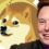 Elon Musk Wants Coinbase to List Dogecoin as the Cryptocurrency's Adoption Grows – Altcoins Bitcoin News