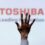 Toshiba sees Mizuho join BlackRock in building 5% stake
