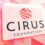 Cirus AMA – Fireside Chat with the Cirus Leadership Team