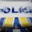 Lockdown car theft: Vehicle stolen from Auckland dealership taken on high-speed joy ride by teens