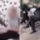 Shocking moment teen girl, 15, and boys 'attack helpless OAPs' before posting sickening videos on Snapchat