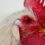 Cock-a-doodle don’t! Dunedin woman convicted for noisy roosters