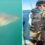 Heart-stopping video shows enormous great white shark circling man’s kayak after spate of maulings off California coast | The Sun
