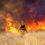 How Much of Every State Has Burned in Wildfires