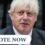Should Boris Johnson return as Prime Minister? POLL