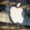 Apple’s iPhone Sales Catastrophes Mount