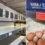 Egg crisis will last beyond CHRISTMAS: Shortages to persist into 2023