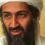 ‘Osama bin Laden tested chemical weapons on my dogs,’ evil terrorist’s son says