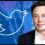 Elon Musk ‘baaaack’ With Twitter Blue Subscription Service
