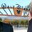 Disney Skewers Nelson Peltz As Lacking “Skills And Experience To Assist Board”; Reveals Marvel Chair Isaac Perlmuttter Backed Activist Investor