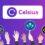 Uncovering the Secret Bids: Binance, Galaxy Digital, and Others in the Race to Acquire Celsius's Assets – Coinpedia Fintech News