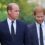 William argued he’d ‘obviously’ beat Harry in fight in resurfaced clip