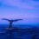 Crypto Whales Cash in on Arbitrum's ($ARB) Meteoric Rise Amid Ethereum Scaling Success
