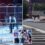 Horror moment 2 lions escape cage during circus show sending crowds fleeing after footage shows beasts on the street | The Sun
