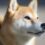 Shiba Inu Burn Rate Surges 1500% In 24 Hours, Yet Price Continues To Struggle In Red