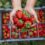 British strawberry season &apos;is late but worth the wait&apos;