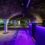 Spectacular events showcase Dockside Vaults opens for bookings