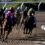 Santa Anita to install artificial training track as part of $31 million in renovations – The Denver Post