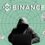 Crypto Market Crash, Binance (BNB) Price Drops Heavily Following Resignation of CEO Changpeng Zhao – Coinpedia Fintech News